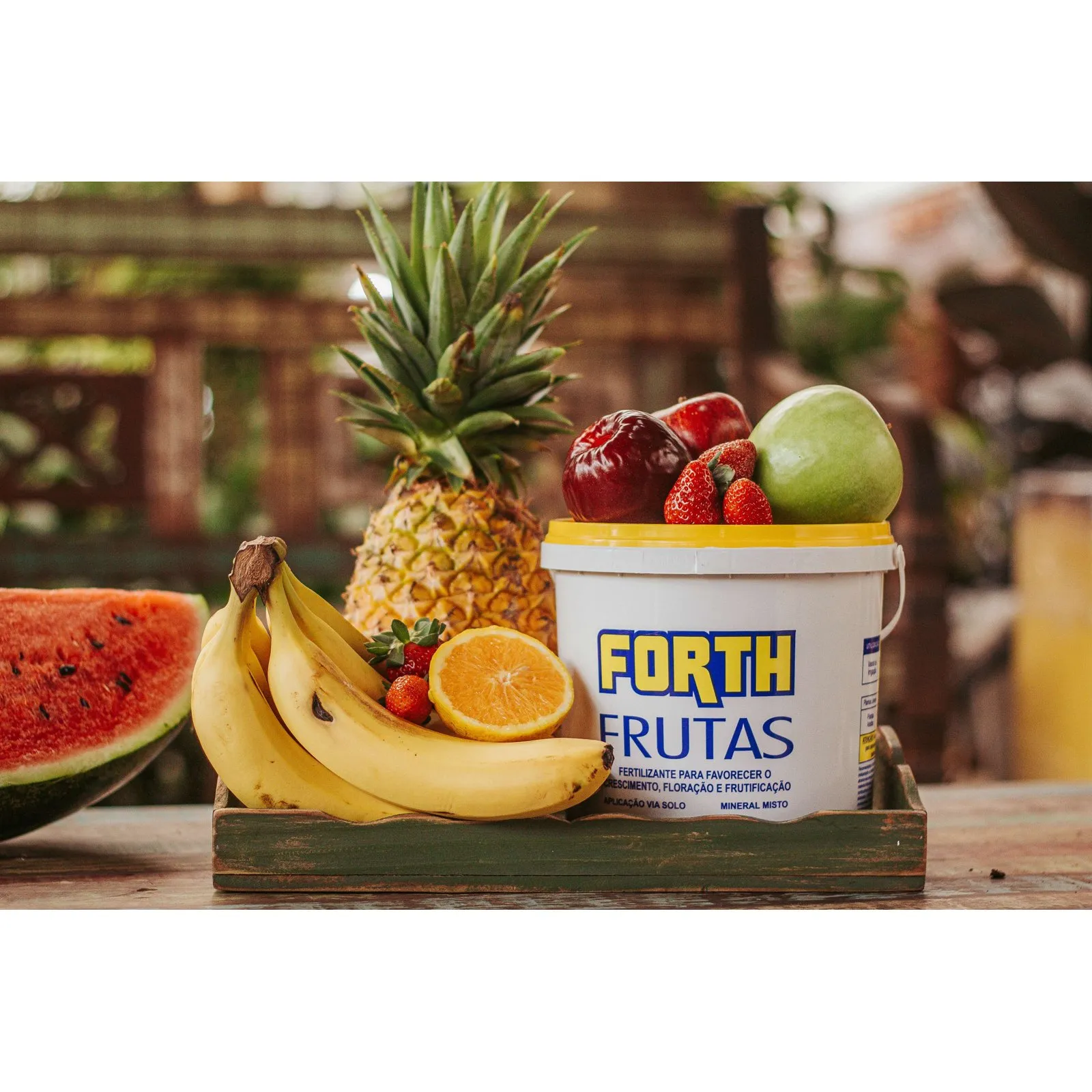 Forth Frutas 3kg